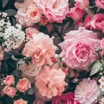 Raquel Collado - Facebook