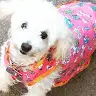raquel collado - @raquelcollado05 - TikTok
