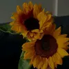 Raquel - @raquel_cordero - TikTok