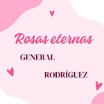 Raquel Coronado - @rosas_eternas__gr - Instagram