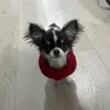 Adrialuska - @raquel.darling - TikTok