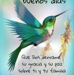 Darling Raquel Osorio Sanches - Facebook
