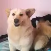 grace raquel - @graceraquel0 - TikTok