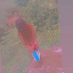 Joyce Raquel - @joyce_raquel42 - Instagram