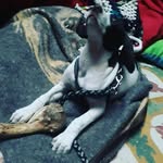 inactive☺ - @raquelpace2006 - Instagram