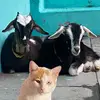 Raquel Parada - @raquel_paradaa - TikTok