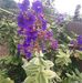 Raquel Bennett Plummer - Facebook