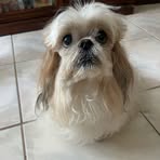 Raquel Puentes - Facebook