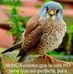 Raquel Quezada - Facebook