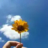Raquel Rocha - @raquel.rocha608 - TikTok
