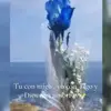 Raquel Ross - @raquelross2 - TikTok