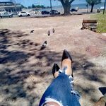 Dobayva Raquel Sisneros - @dobayvaraquel - Instagram
