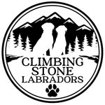 Raquel Stone - @climbingstonelabradors - Instagram