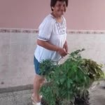 Raquel Veliz - @veliz6091 - Instagram