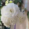Raquel Veliz Garrido - @raquel.veliz.garr - TikTok
