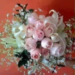 Rasha Farag - @rasha.farag.583 - Instagram