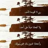 Rasha Khalil - @rashakhalil71 - TikTok