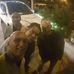 Rashad Ibrahim - Facebook