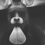 rashad lee - @rashadlee23 - Instagram