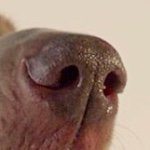 Rashad Nelson - @otto_and_tweety - Instagram