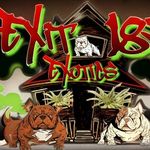 Rashad Thomas - @exit18_exotics - Instagram