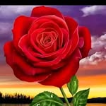 Rasheda Begum Rasheda Begum - @rashedabegumrashedabegum - Instagram