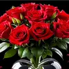 rasheda.begum - @rasheda.begum292 - TikTok