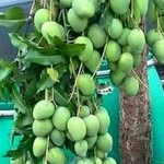 Rashedul Khan - @rashedul.khan.108 - Instagram