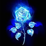 Rashedul Khan - @rashedul.khan.988373 - Instagram
