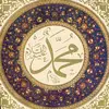 rasheedmuhammad - @rasheedmuhammad779 - TikTok