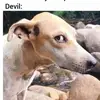 Rah no she - @rcb.4 - TikTok