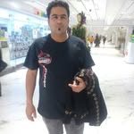 rasul akbari - @rasulakbari6 - Instagram