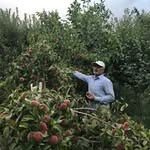 اکبری - @rasulakbari.56 - Instagram