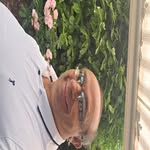 Ratko Jovanović - @ratko1025 - Instagram