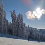 Ratko Jovanović - @ratko.j - Instagram