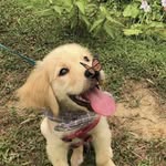 Ratko Popović - @ratkopopovic000 - Instagram