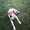 raulabello58 - @raulabello58 - TikTok