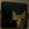 raulbitch - @raulbitch - TikTok