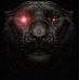 Raul Gallo - Facebook