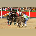 Raul Gracia Perez - @raulgraciaperez - Instagram