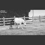 raulgrillodelatorre - @raulgrii - Instagram