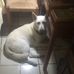 Raul Illescas - Facebook