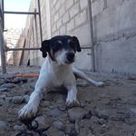 Raul lazo - @raul.lazo - Instagram
