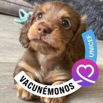 Raúl Lomas - @raullomas5 - Instagram
