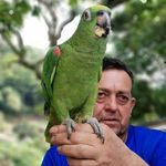 Raúl Mancera - @raul.mancera.1800 - Instagram