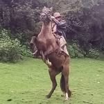 Raul Millán - @raulmillan318 - Instagram