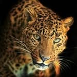 Raul Jurado Minor - @juradominor - Instagram