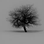 Raul Montejo - @photos_by_raul - Instagram