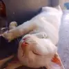 Raul Montejo - @raul.montejo - TikTok