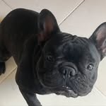 Raul mota - @raulmotta846 - Instagram